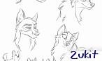 Zukit