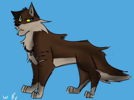 Detail Wolfy (Wolfy)