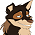 Togo (JerseyCaptain)