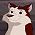 Dingo (JerseyCaptain)