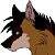 Diego(shy)