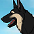 Jake (DLW)