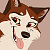 Dingo.