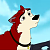 Dingo (A.D.W)