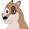 Cooper (thatbandgeek)