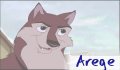 Arege