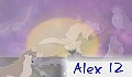 Alex 12