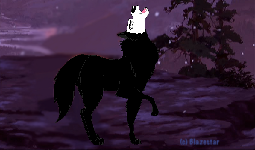 Le loup qui et en moi