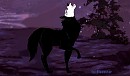 Le loup qui et en moi
