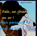 Falo un chien en or... 