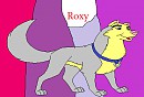 Roxy sur fond colorer