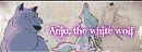 Aniu's banner