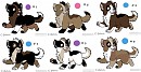 Puppies!!!  