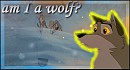 est-ce que je suis un loup ?
