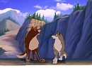 tarak et balto