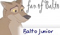 BaltoJunior