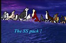 The SS pack ! 