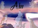 Alue