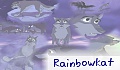 Rainbowkat