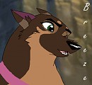 Gifty for DNL