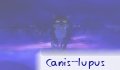 canis_lupus