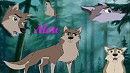 Collage Aleu