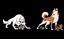 Balto family