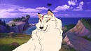 Aniu's cerimony