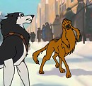 Nome is not all about huskies