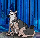 Star's parents
