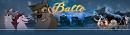 Balto Source banner - Kelsey The Zombie's version