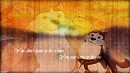 Kodi collage