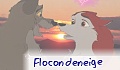 flocondeneige