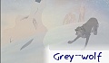 grey_wolf