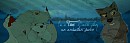   I'm a true Balto fan on AS   free use