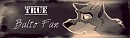 True Balto Fan Banner