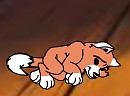 Puppy Years