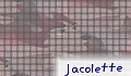 jacolette