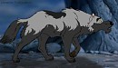 Old wolf