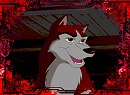 Kodi