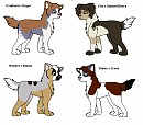 Fan Puppers