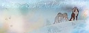 ..:: Balto Source Fan Banner ..::