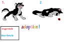 adoption ! : enfants de bella et nava(fermer)