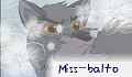miss_balto