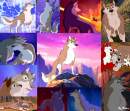 Montage Aleu