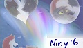 niny16 niny16