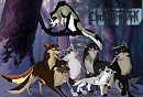 2 new pack members!!!