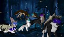 On The Hunt!
