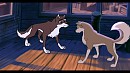 Que devons nous faire, Aleu ?