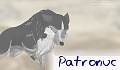 Patronuc